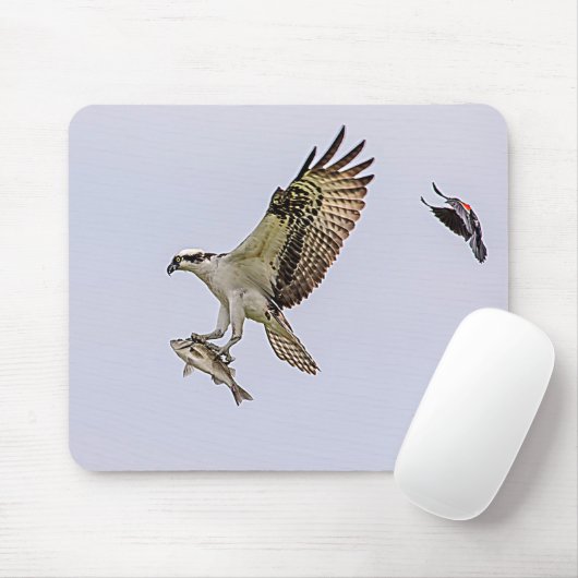 Osprey, der durch eine rotgeflügelte Amsel gejagt Mousepad (Mit Mouse)