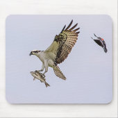Osprey, der durch eine rotgeflügelte Amsel gejagt Mousepad (Vorne)
