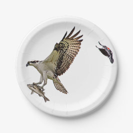 Osprey, der durch eine rotgeflügelte Amsel gejagt Pappteller