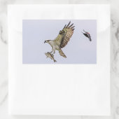Osprey, der durch eine rotgeflügelte Amsel gejagt Rechteckiger Aufkleber (Tasche)
