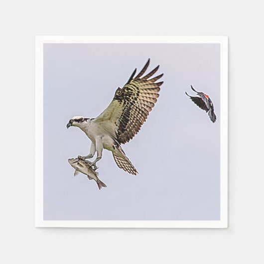 Osprey, der durch eine rotgeflügelte Amsel gejagt Serviette (Vorderseite)