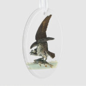 Osprey durch Audubon Ornament (Vorderseite)