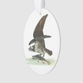 Osprey durch Audubon Ornament (Vorderseite)