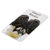 Osprey Eyes Flexi Magnet (Linke Seite)