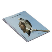 Osprey-Falke-Gesang Notizbuch Notizblock (Rechte Seite)