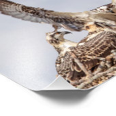 Osprey Familienportrait Fotodruck (Ecke)