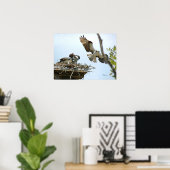 Osprey Family Poster (Heimbüro)