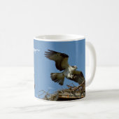 Osprey feilbietet Fliegennest Tasse (VorderseiteRechts)