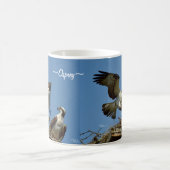 Osprey feilbietet Fliegennest Tasse (Mittel)