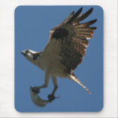 Osprey/Fische Mousepad (Vorne)