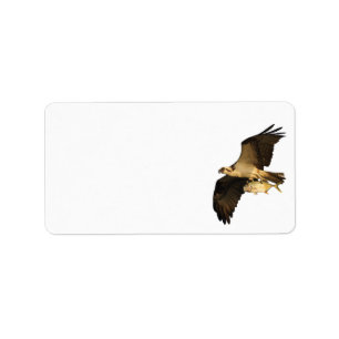 Osprey-Fischen Adressaufkleber