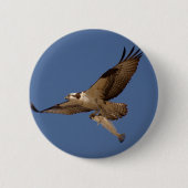 Osprey Fisher Button (Vorderseite)