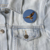 Osprey Fisher Button (Beispiel)