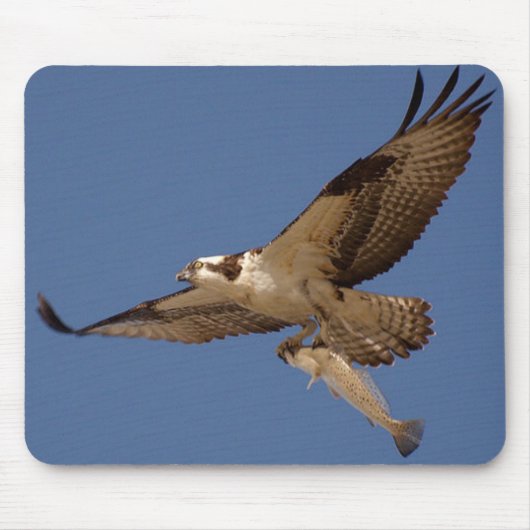 Osprey Fisher Mousepad (Vorne)