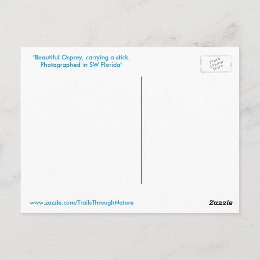 Osprey Flatstick Florida Postkarte (Rückseite)