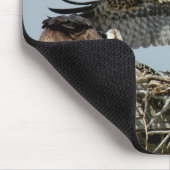 Osprey Fliegnest Mousepad (Ecke)