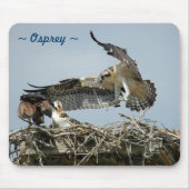 Osprey Fliegnest Mousepad (Vorne)