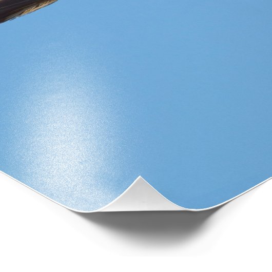 Osprey, Florida Fotodruck (Ecke)