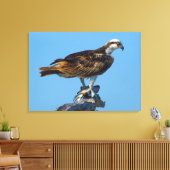 Osprey, Florida Leinwanddruck (Insitu (Wohnzimmer))