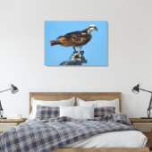 Osprey, Florida Leinwanddruck (Insitu (Schlafzimmer))