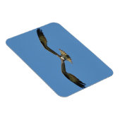 Osprey Flying! Magnet (Rechte Seite)
