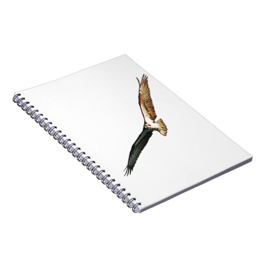 Osprey Flying Notizblock (Rechte Seite)
