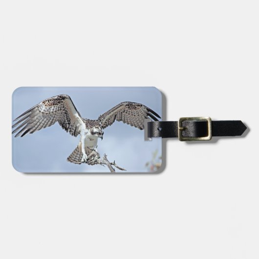 Osprey Gepäcktag Gepäckanhänger (Vorderseite horizontal)