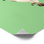 Osprey Hawk Raptor Thunder_Cove Poster (Ecke)