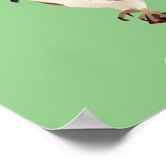 Osprey Hawk Raptor Thunder_Cove Poster (Ecke)