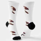 Osprey Hawk Raptor Thunder_Cove Socken (Gewinkelt)