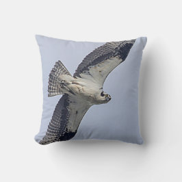 Osprey im Flug Kissen