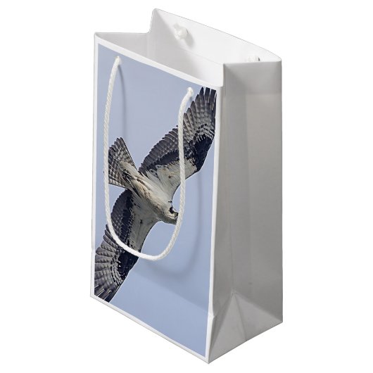 Osprey im Flug Kleine Geschenktüte (Vorderseite Schrägansicht)
