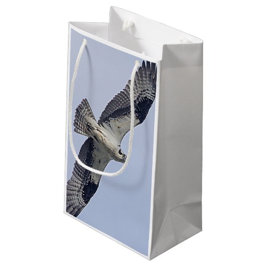 Osprey im Flug Kleine Geschenktüte (Rückseite Schrägansicht)