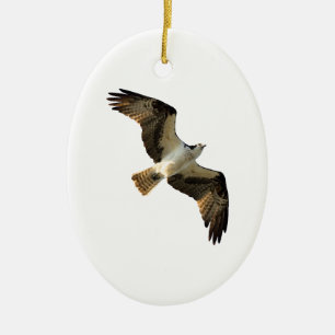 Osprey-im Flug Logo Keramikornament