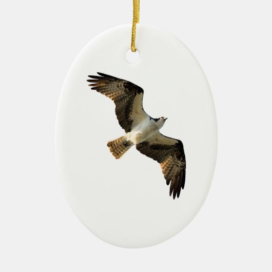 Osprey-im Flug Logo Keramikornament (Vorne)