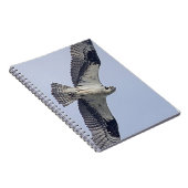 Osprey im Flug Notizblock (Rechte Seite)
