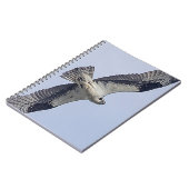 Osprey im Flug Notizblock (Linke Seite)