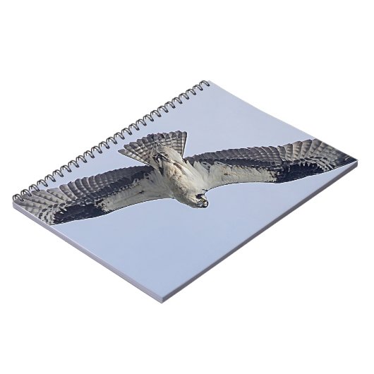 Osprey im Flug Notizblock (Linke Seite)