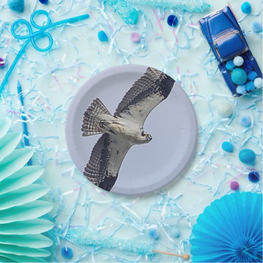 Osprey im Flug Pappteller (Party)