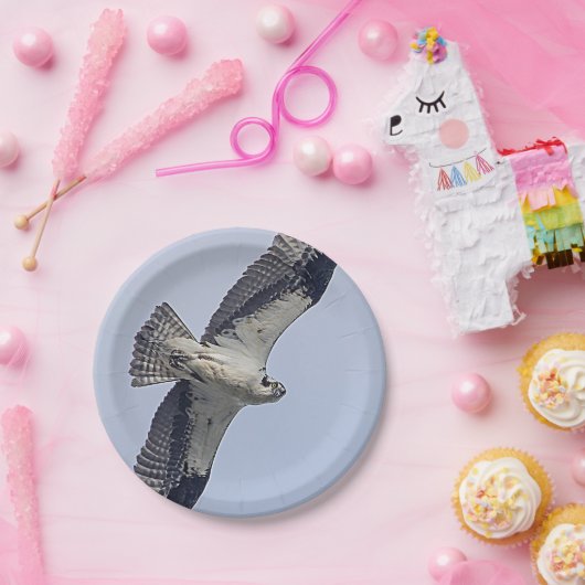 Osprey im Flug Pappteller (Party)