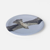 Osprey im Flug Pappteller (Schrägansicht)