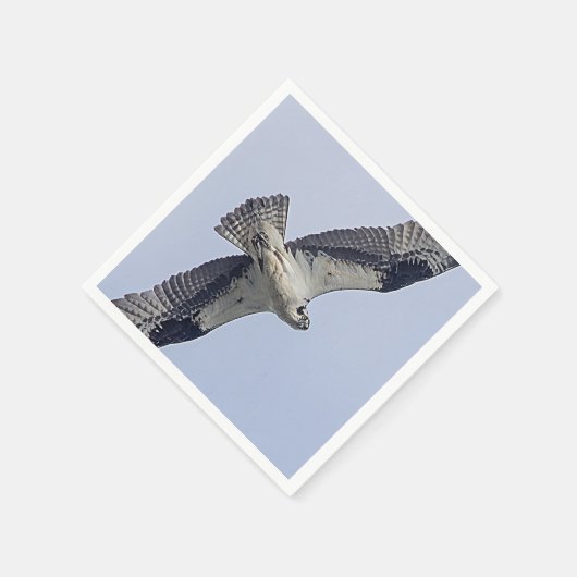 Osprey im Flug Serviette (Ecke)