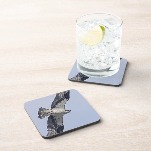 Osprey im Flug Untersetzer (Rechte Seite)