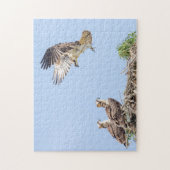 Osprey im Nest (drei amigos) Puzzle (Vertikal)