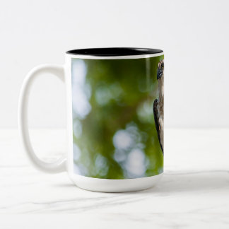 Osprey in Colorado Zweifarbige Tasse