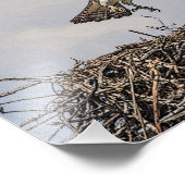 Osprey in einem Nest Fotodruck (Ecke)