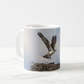 Osprey in einem Nest Kaffeetasse (Vorderseite Links)