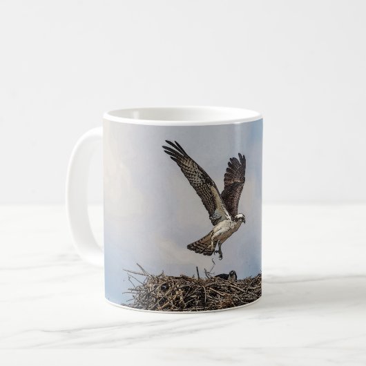 Osprey in einem Nest Kaffeetasse (Vorderseite Links)
