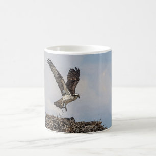 Osprey in einem Nest Kaffeetasse