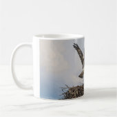 Osprey in einem Nest Kaffeetasse (Links)